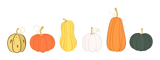 Set of pumpkins Collection of autumn squash pumpkins Thanksgiving and Halloween design elements