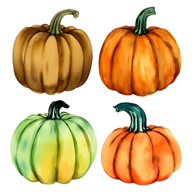 Set of pumpkins of different shapes and colors with stalks isolated on white background Handdrawn watercolor illustration Harvest