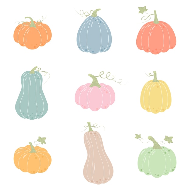 Vector set of pumpkins hand drawn pumpkins of different shapes and colors