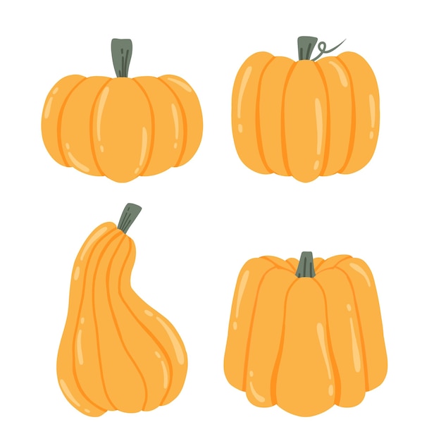 Set of pumpkins Large orange pumpkins Autumn pumpkin isolated on white background Vector illustration