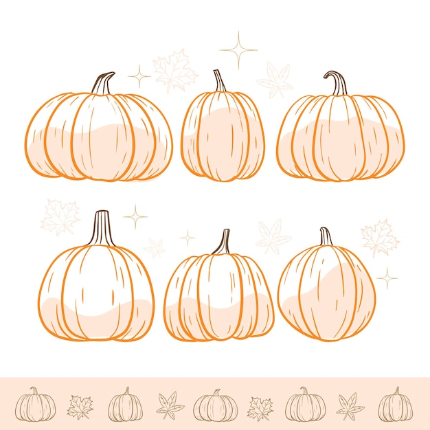 Set of Pumpkins and Maple hand drawn