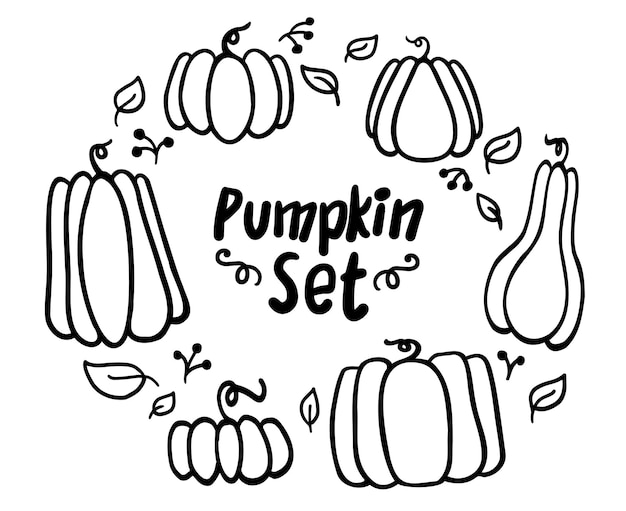 かぼちゃのセット さまざまな形や色のかぼちゃ 感謝祭のデザイン 秋かぼちゃ