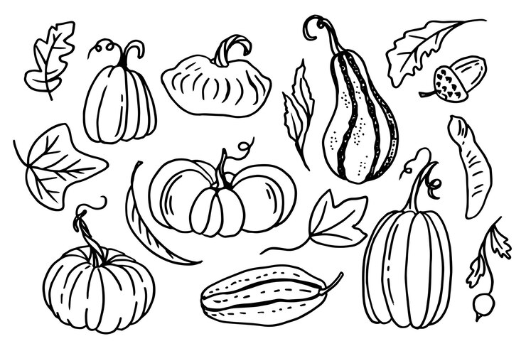 Vector a set of pumpkins in various shapes black outlined vector collection of cute hand drawn pumpkins