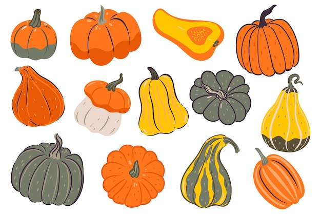 Set of pumpkins of various shapes and colors isolated on a white background Vector graphics