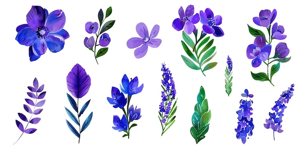 Set of purple flowers in watercolor style on white background