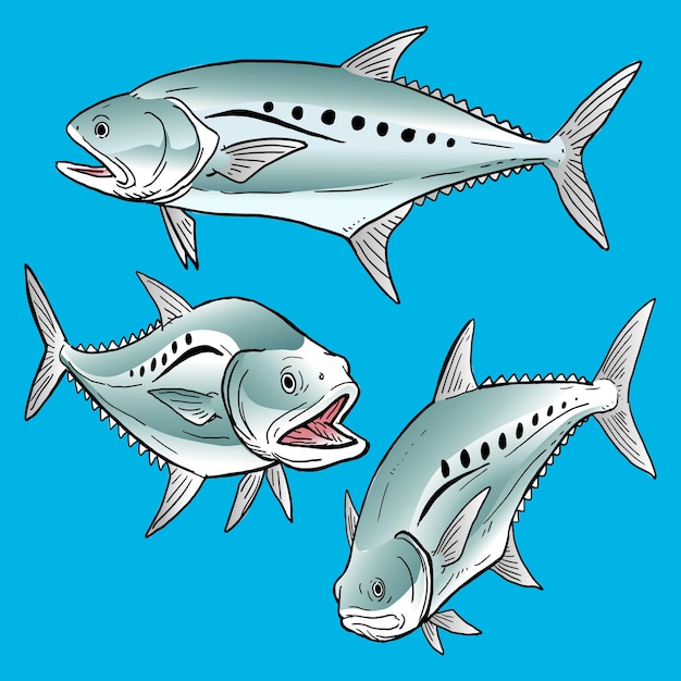 set of queenfish for premium pack