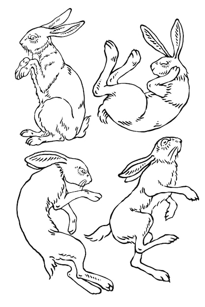 Vector set of rabbits illustrations easter bunny