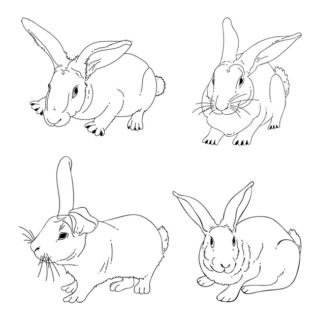 Set of rabbits line art Farm animal Hare bunny hand drawn sketch illustration