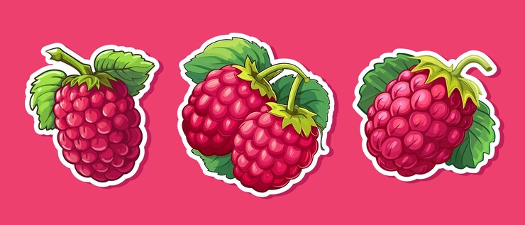 Vector set rasp