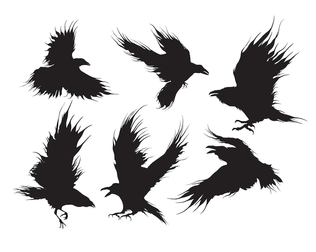 Vector set of ravens or black crows flying silhouette