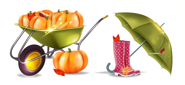 Set realistic autumns icons. rubber boots, pumpkins, garden wheelbarrow