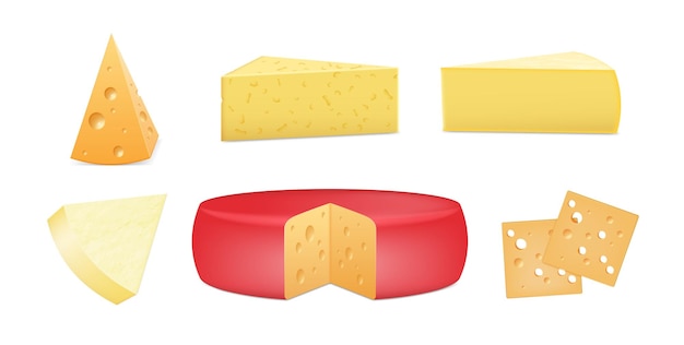 Set of realistic cheese pieces Fresh hard cheese sliced whole head Tasty dairy cuisine ingredient