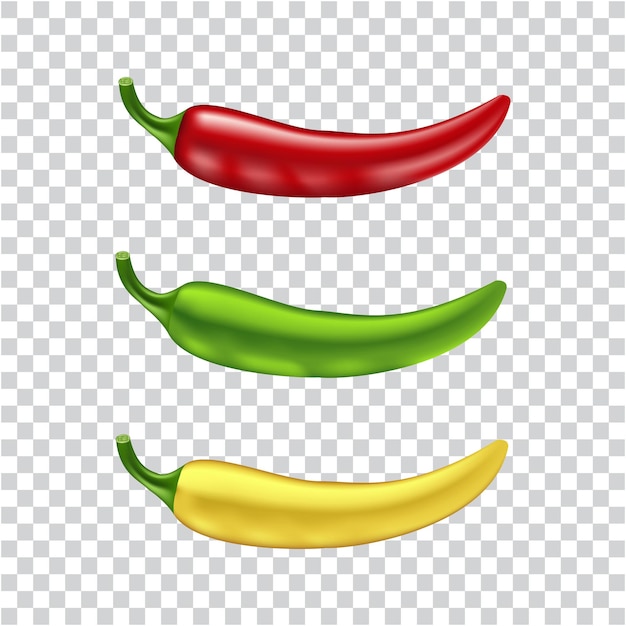 Set of realistic chili vector illustration