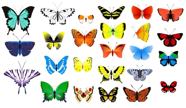 Vector set of realistic colorful butterflies vectors