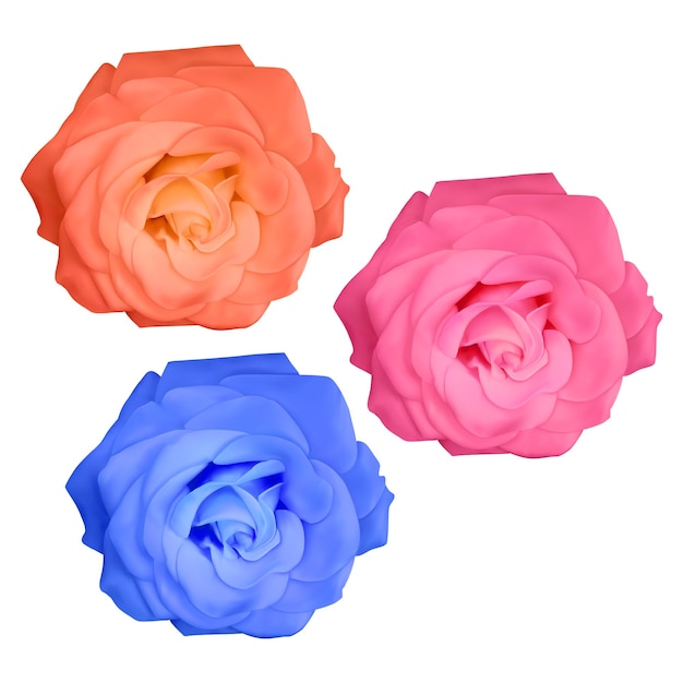 Set of realistic colorful roses