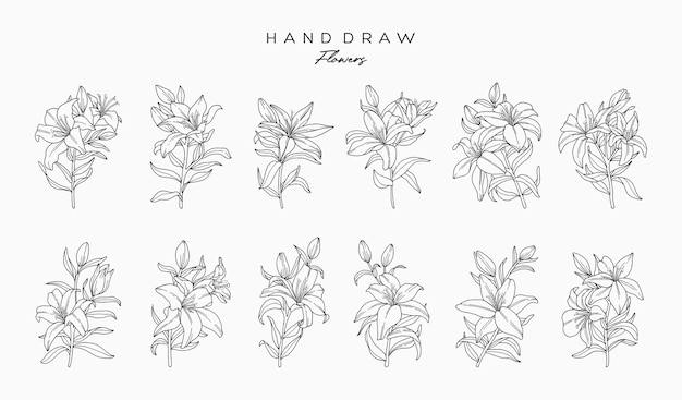 Vector set of realistic flowers and leaves