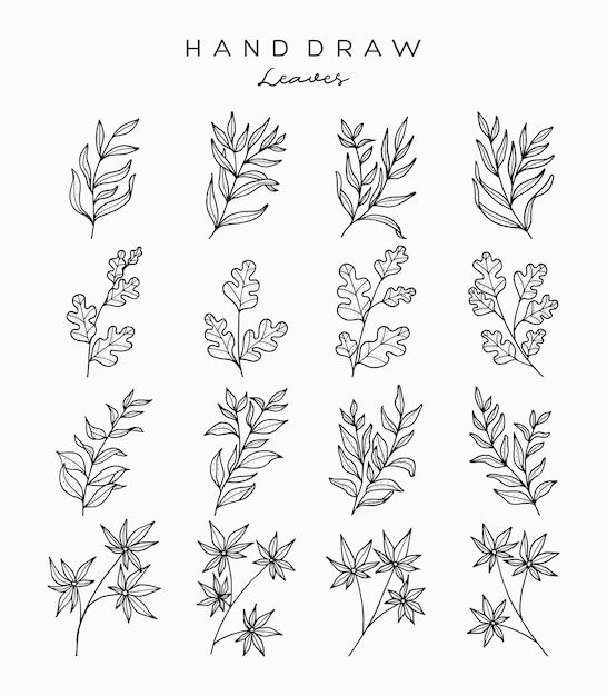 Vector set of realistic flowers and leaves