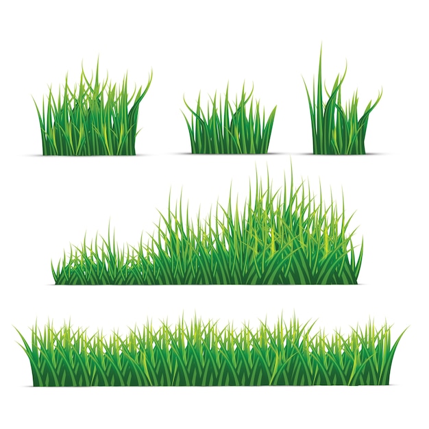 Set of realistic grass