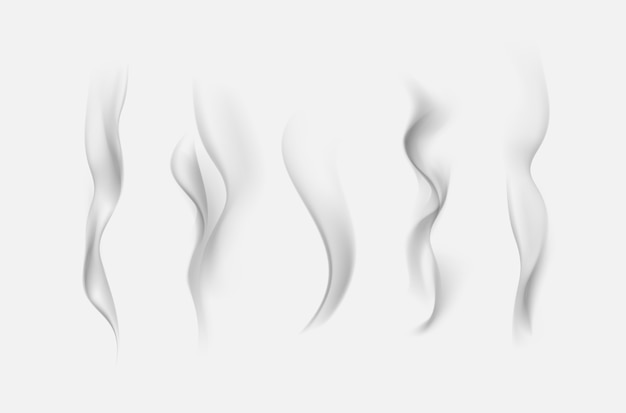 Set of Realistic Gray Transparent Cigarette Smoke Waves Isolated On White