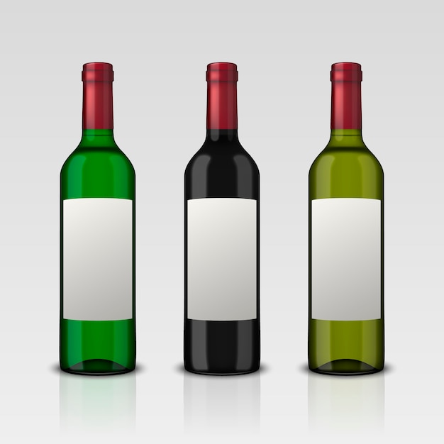 Vector set realistic green bottles of wine