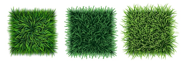 Set of realistic green grass textures with fresh turf carpet, field or lawn, top view. Seamless pattern of organic eco floral texture with leaves. 3d vector illustration