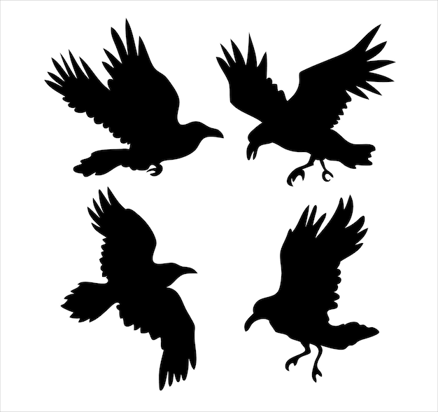 Set of realistic raven vector silhouettes for icons hand drawn style