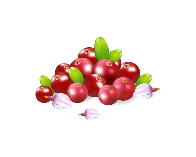 Vector set of realistic ripe berryes on a white background.