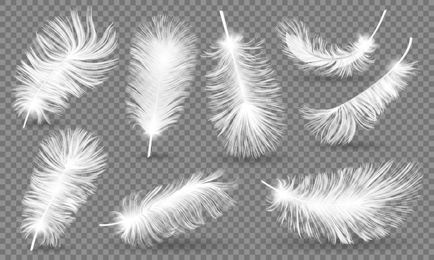 A set of realistic white feathers with a black background.