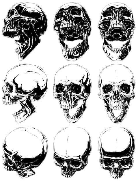 Set of realisticblack and white human skulls