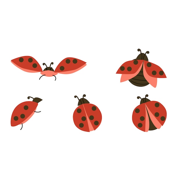 赤い虫と甲虫が飛ぶベクトルイラストのセット