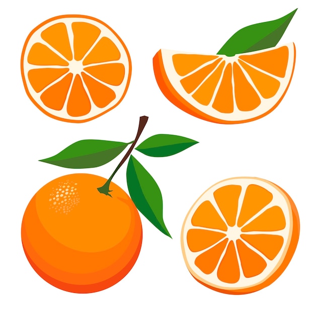 Set of red orange and slices Isolated vector sliced fruit in flat style Summer clipart for design