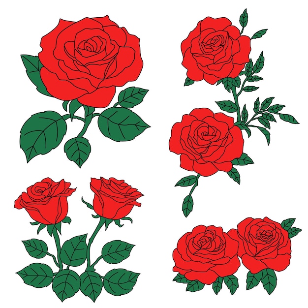 Set of red rose flowers vector illustration
