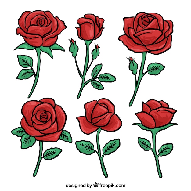 Vector set of red roses hand drawn