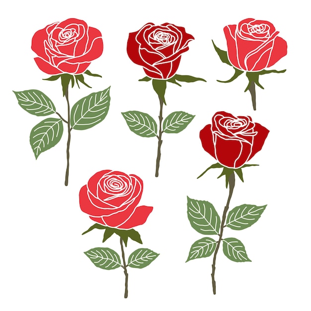 Set Of Red Roses On a White Background