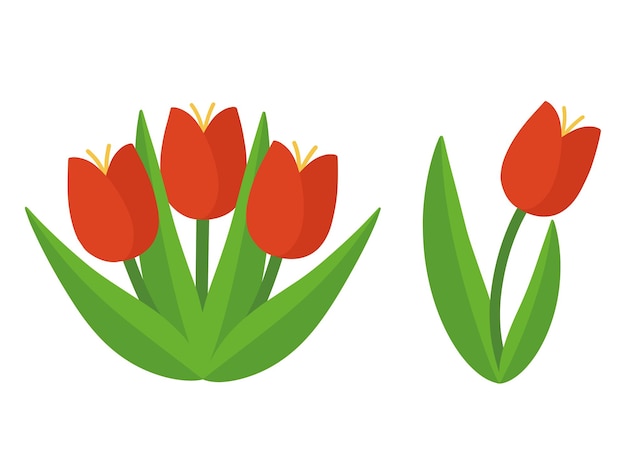 Vettore set di tulipani rossi vettoriali illustrazione di un tulipano rosso simpatico cartone animato