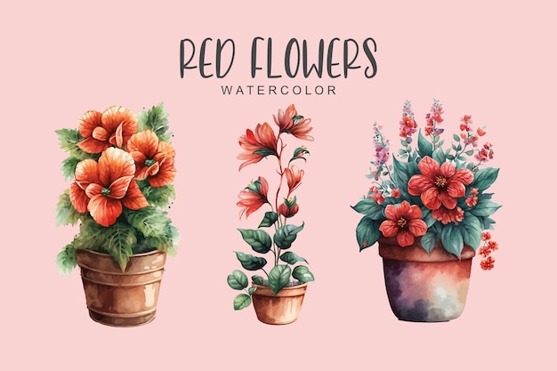 Vector a set of red watercolor flowers in pots on a pink background