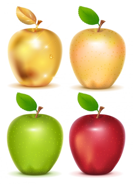 Vector set of red, yellow, green and gold apple