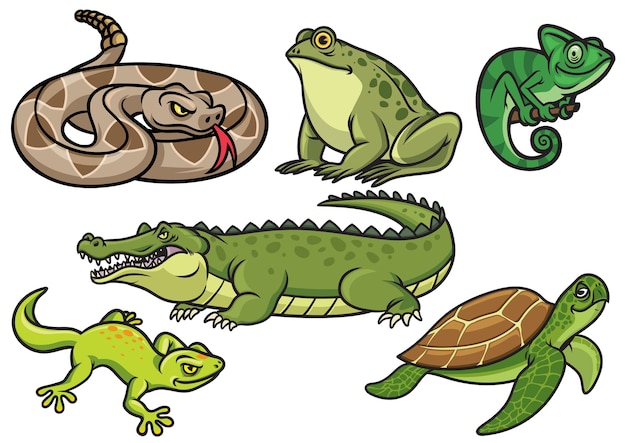 Set of reptile cartoon illustration in set