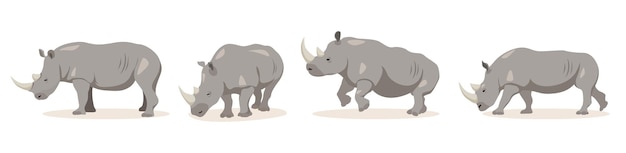 Set of rhinoceros in different angles and emotions cartoon style vector illustration of herbivorous african animals isolated on white background