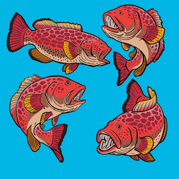 Vector set rode tandbaarsvissen voor het verzamelen van gamefish