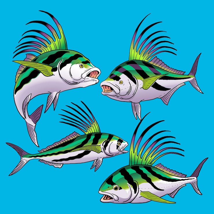 Vector set of roosterfish for gamefish bundle collection