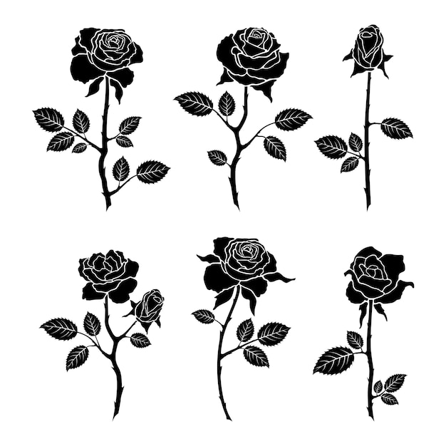 Set roses flowers isolated on white background