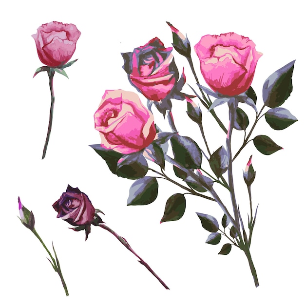 Set roze bloemen in een boeket vectorillustratie