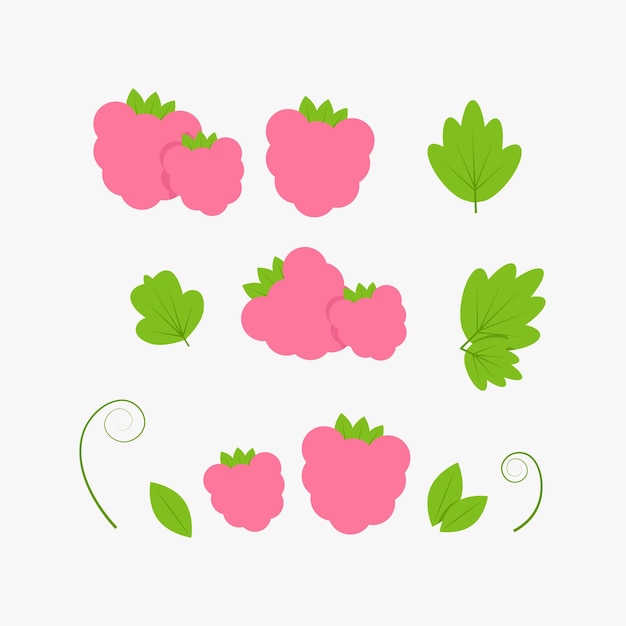 Set roze frambozen in verschillende combinaties en groene frambozenblaadjes