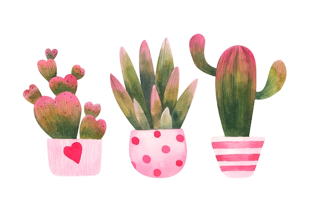 Set roze-groene cactussen in sier bloempot illustratie op een witte achtergrond