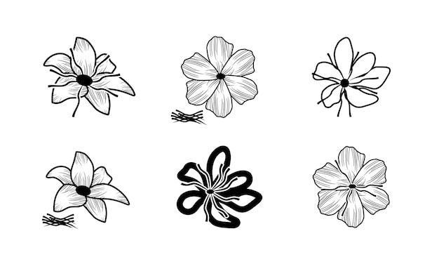 Set di icone di fiori di zafferano, fiore di croco, vettore di fiori su sfondo bianco
