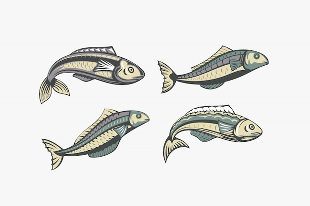 Vector set of sardine. fish illustration