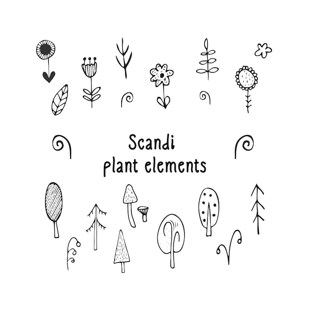 Vector set of scandinavian plant elements for seasonal decor, cute vector doodles - flowers, leaves, berries, trees, mushrooms