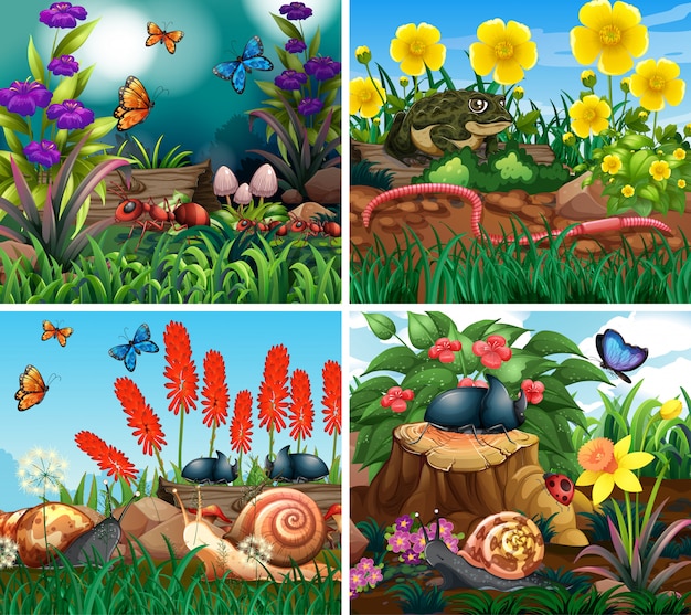 Set of scene with nature theme illustration