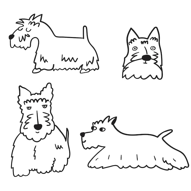 Set of Scottish Terriers. Vector icon. Outline illustration.